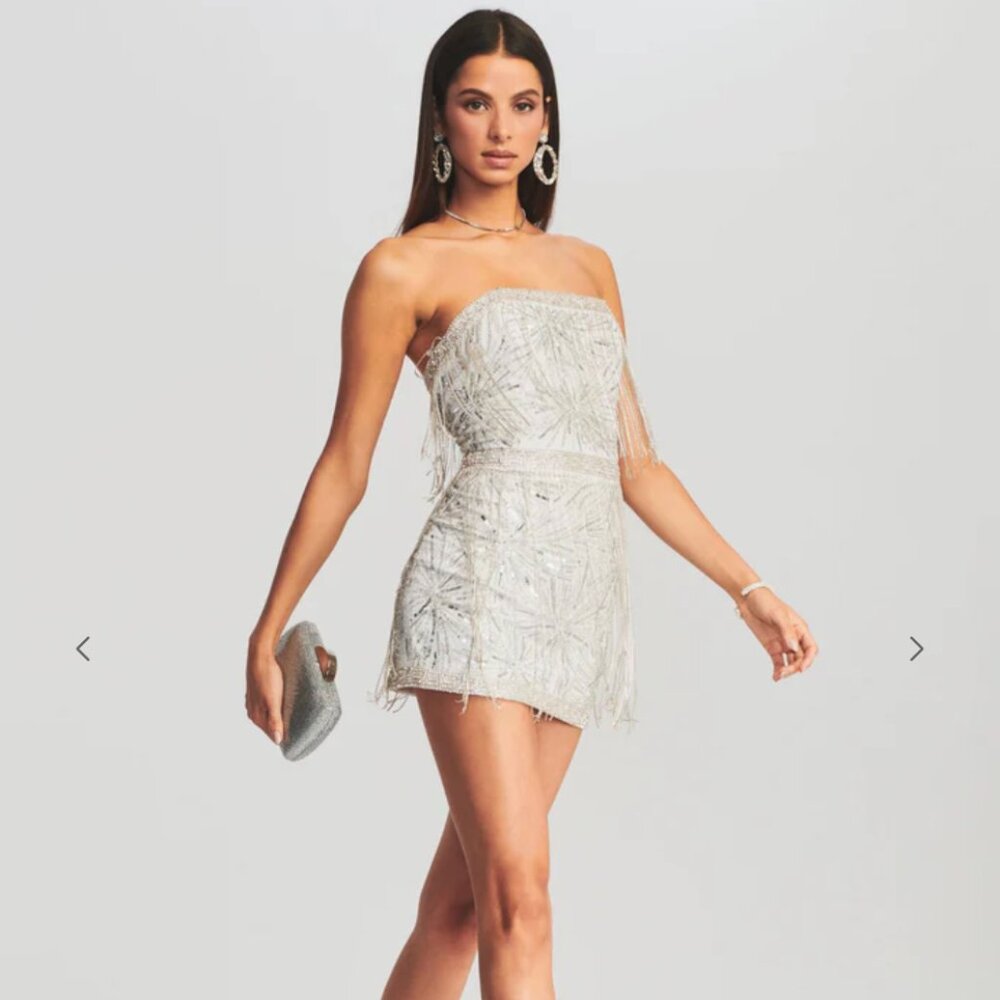 Retrofete Dixie Sequin Fringe Dress